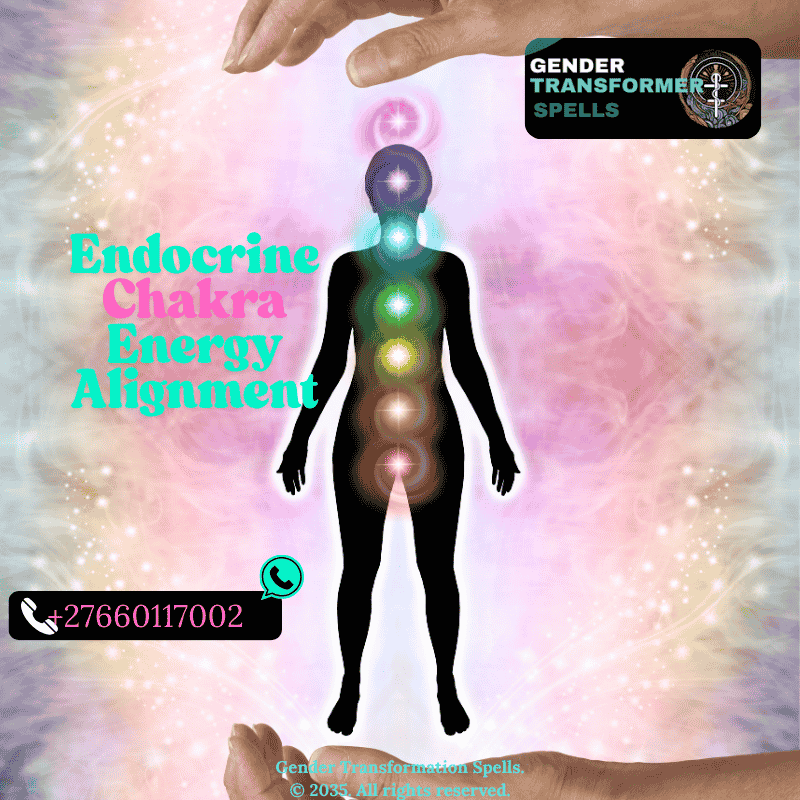 Seven chakras aligned with endocrine glands visual diagram